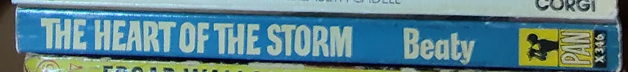 David Beaty  THE HEART OF THE STORM spine of book image