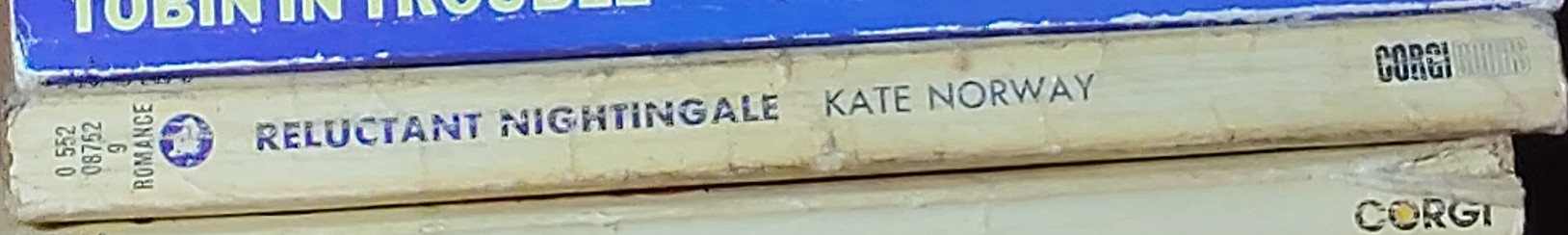 Kate Norway  RELUCTANT NIGHTINGALE spine of book image