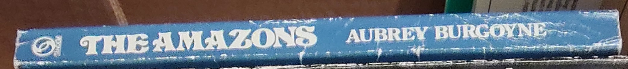 Aubrey Burgoyne  THE AMAZONS spine of book image