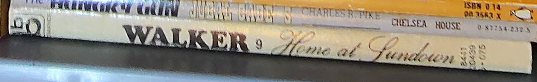 Lucy Walker  HOME AT SUNDOWN spine of book image