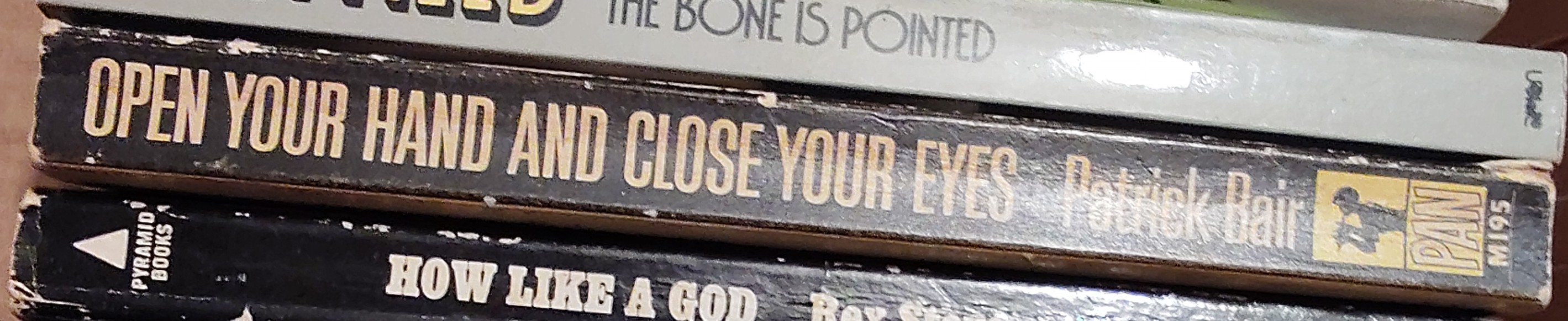 Patrick Bair  OPEN YOUR HANDS AND CLOSE YOUR EYES spine of book image