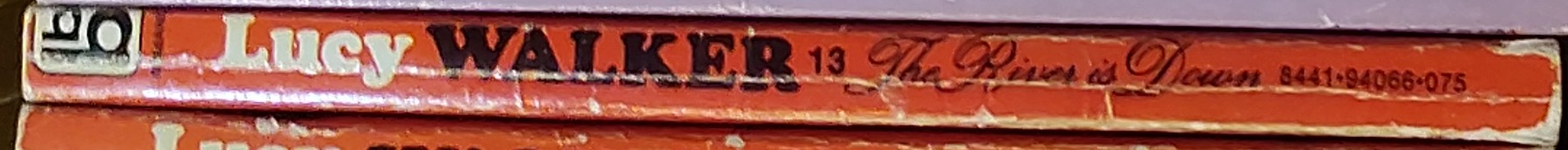 Lucy Walker  THE RIVER IS DOWN spine of book image