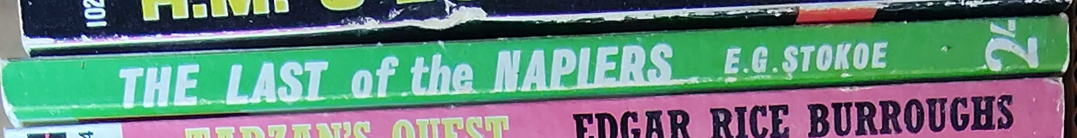E.G. Stokoe  THE LAST OF THE NAPIERS spine of book image