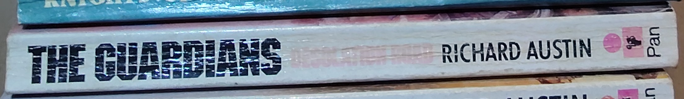 Richard Austin  THE GUARDIANS: DESOLATION ROAD spine of book image