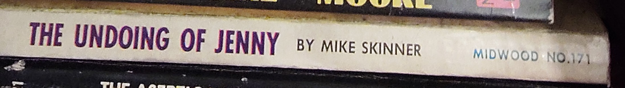 Mike Skinner  THE UNDOING OF JENNY spine of book image