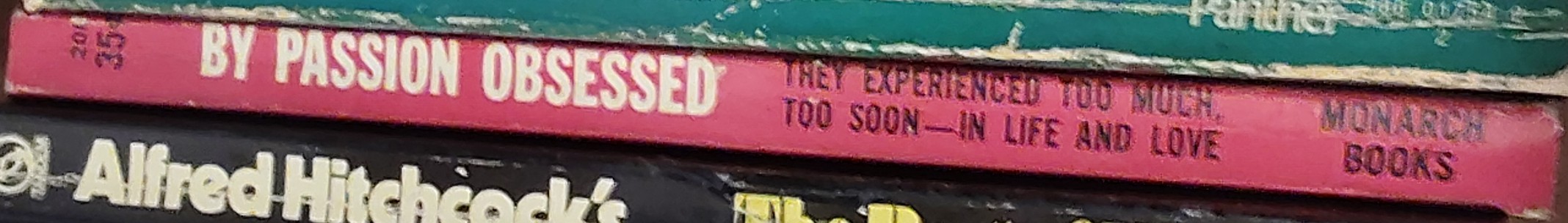 V.J. Coberly  BY PASSION OBSESSED spine of book image