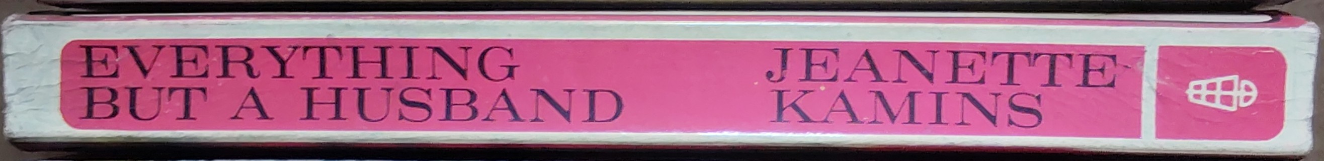 Jeanette Kamins  EVERYTHING BUT A HUSBAND spine of book image