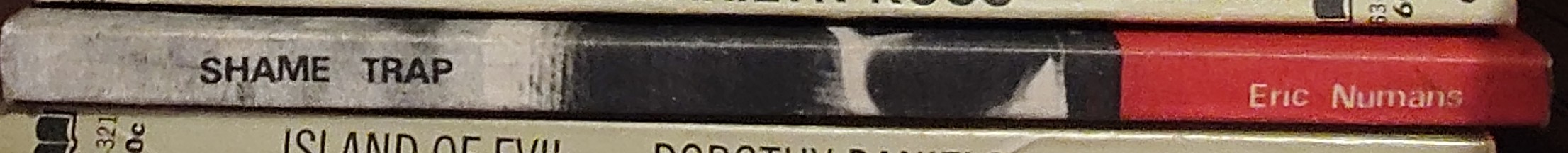 Eric Nurmans  SHAME TRAP spine of book image