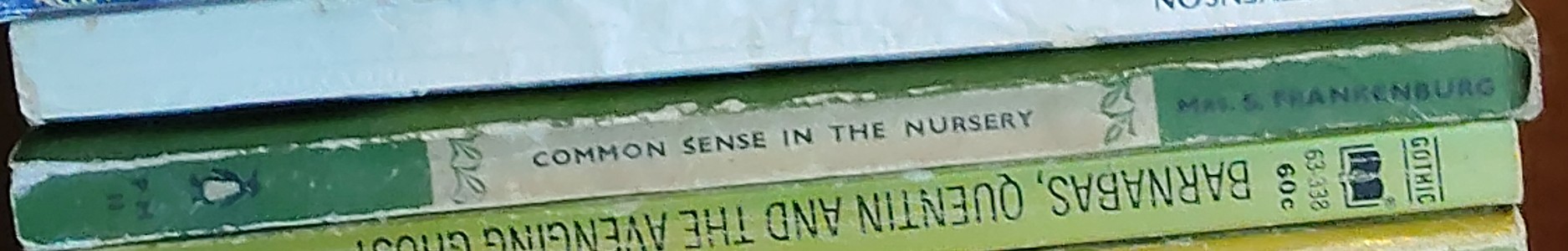 Mrs Sydney Frankenburg  COMMON SENSE IN THE NURSERY spine of book image