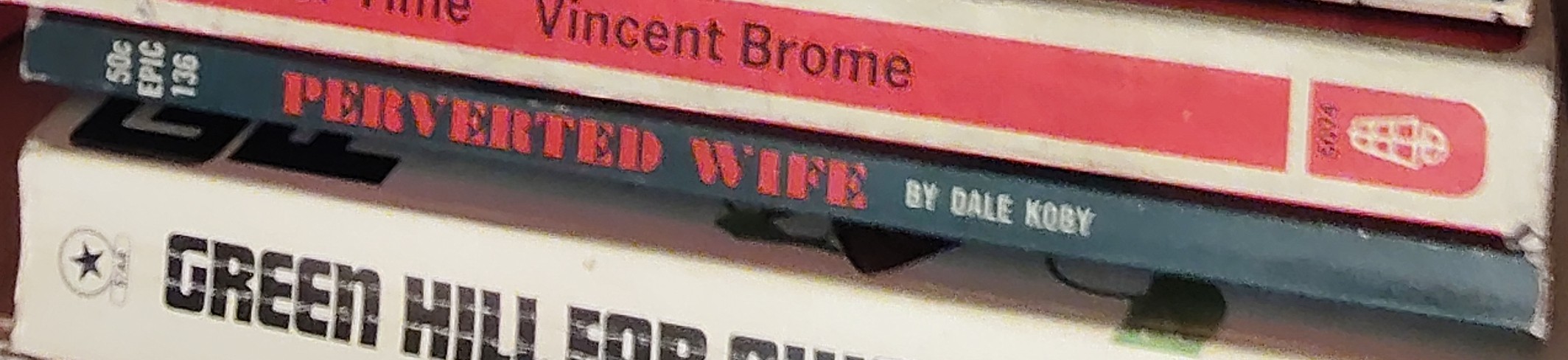Dale Koby  PERVERTED WIFE spine of book image