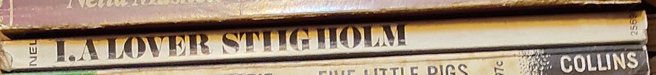 Stiig Holm  I, A LOVER spine of book image