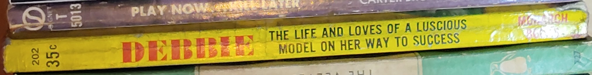 Paul Daniels  DEBBIE spine of book image