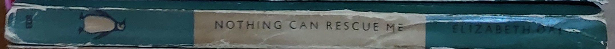 Elizabeth Daly  NOTHING CAN RESCUE ME spine of book image