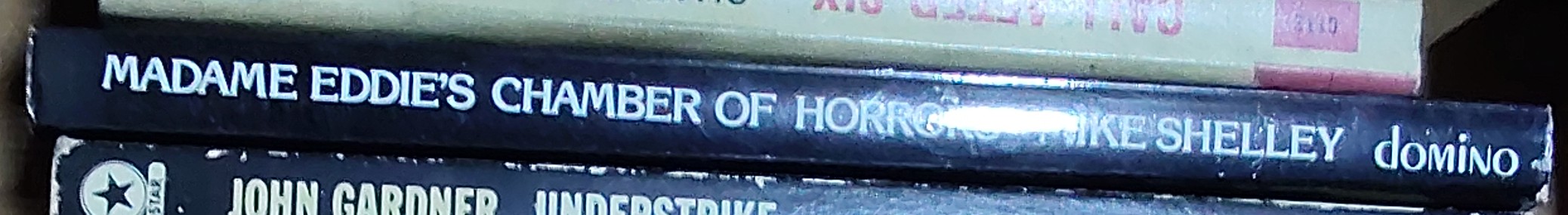 Mike Shelley  MADAME EDDIE'S CHAMBER OF HORRORS spine of book image