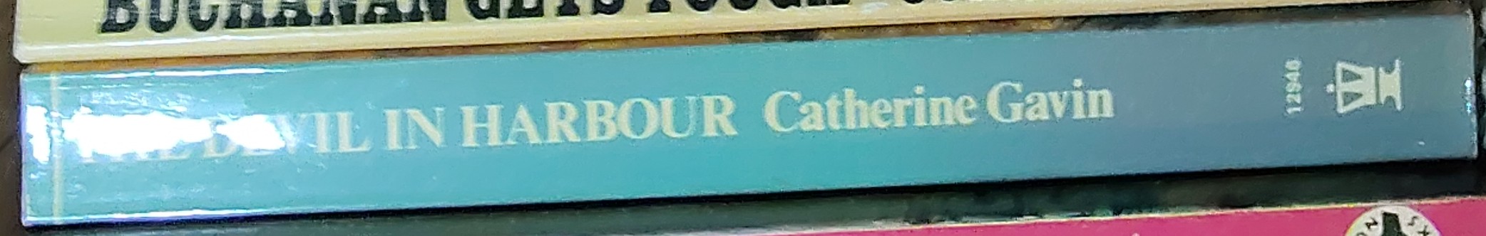 Catherine Gavin  THE DEVIL IN HARBOUR spine of book image
