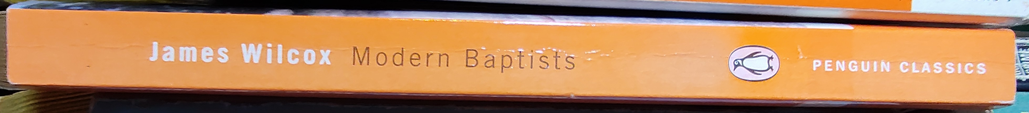 James Wilcox  MODERN BAPTISTS spine of book image