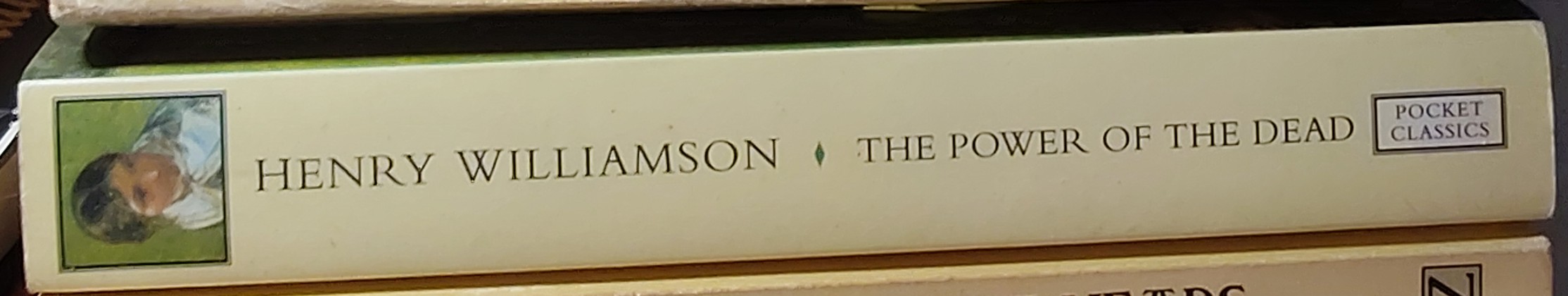 Henry Williamson  THE POWER OF THE DEAD spine of book image