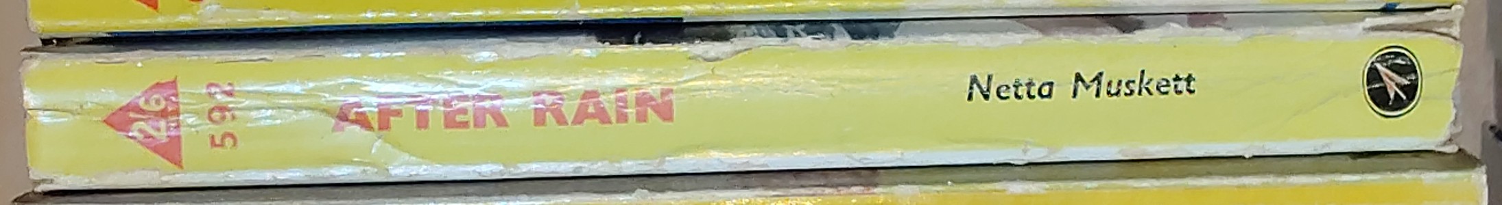 Netta Muskett  AFTER RAIN spine of book image