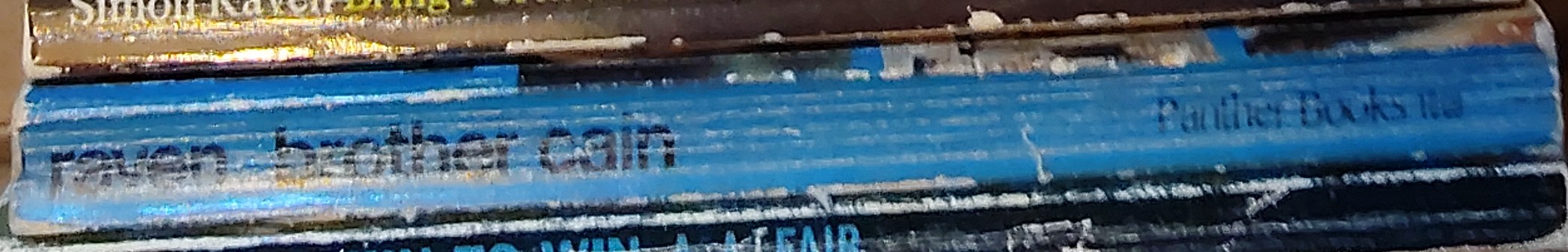 Simon Raven  BROTHER CAIN spine of book image