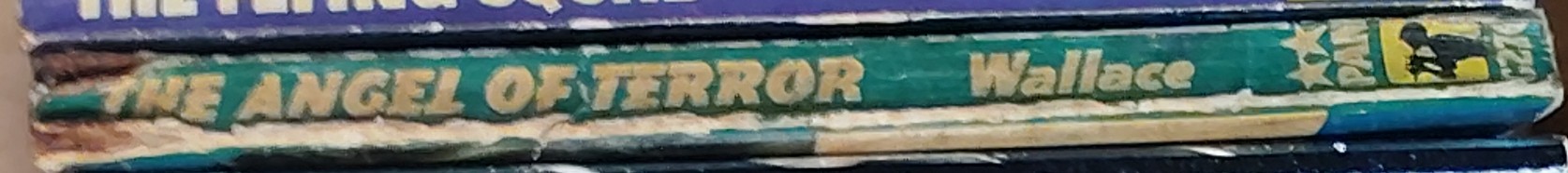 Edgar Wallace  THE ANGEL OF TERROR spine of book image