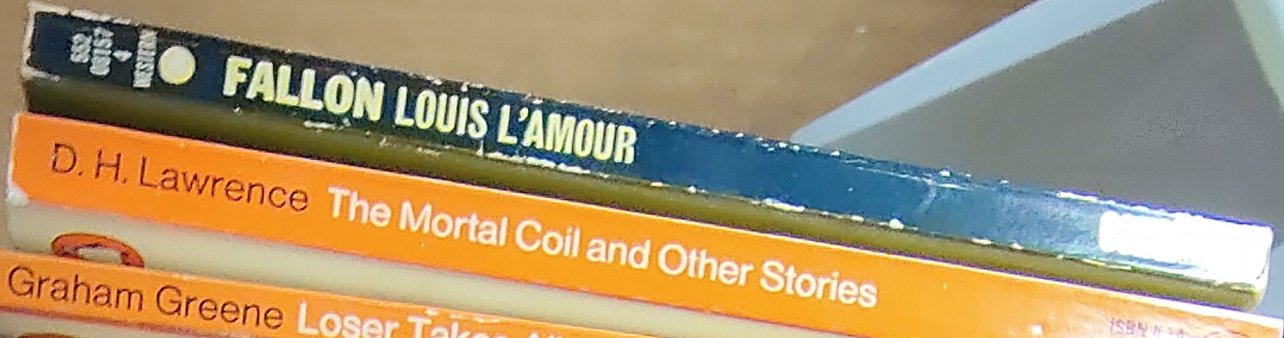 Louis L'Amour  FALLON spine of book image