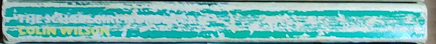 Colin Wilson  THE SCHOOLGIRL MURDER CASE spine of book image