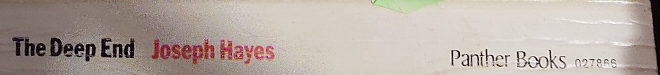 Joseph Hayes  THE DEEP END spine of book image