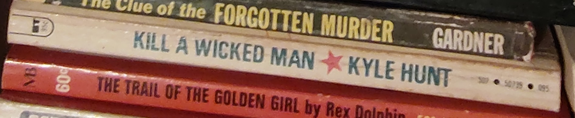 Kyle Hunt  KILL A WICKED MAN spine of book image