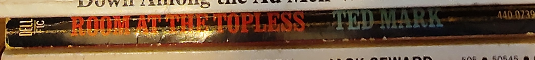 Ted Mark  ROOM AT THE TOPLESS spine of book image