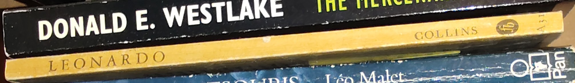LEONARDO  spine of book image