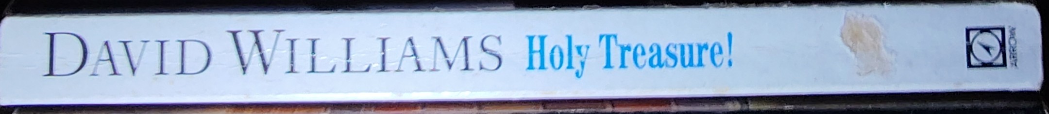 David Williams  HOLY TREASURE! spine of book image
