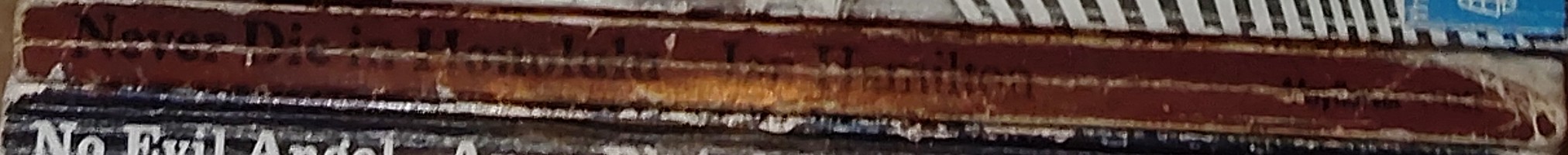 Ian Hamilton  NEVER DIE IN HONOLULU spine of book image