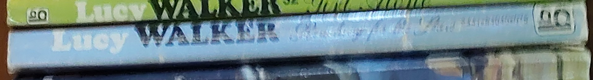 Lucy Walker  REACHING FOR THE STARS spine of book image