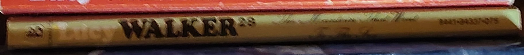 Lucy Walker  THE MOUNTAIN THAT WENT TO THE SEA spine of book image