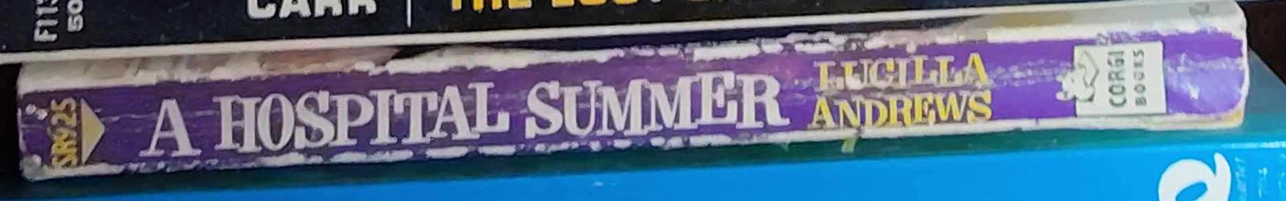 Lucilla Andrews  A HOSPITAL SUMMER spine of book image