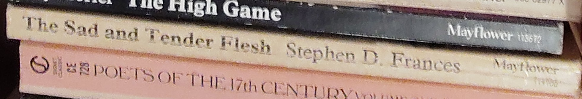Stephen D. Frances  THE SAD AND TENDER FLESH spine of book image