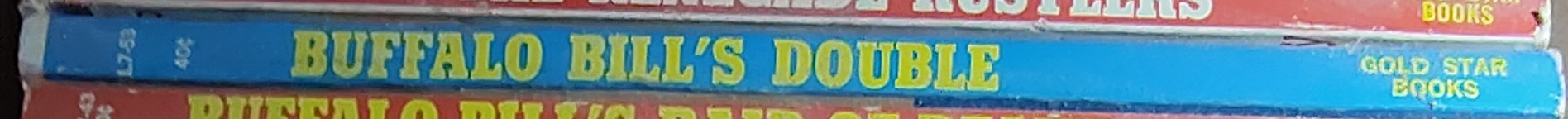 Anonymous   BUFFALO BILL'S DOUBLE spine of book image