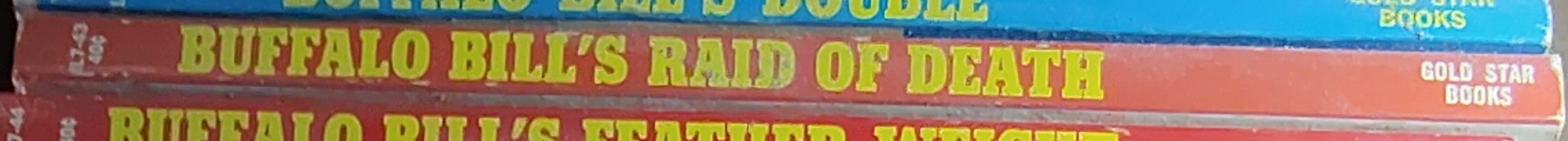 Anonymous   BUFFALO BILL'S RAID OF DEATH spine of book image