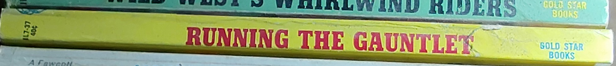 Anonymous   RUNNING THE GAUNTLET spine of book image