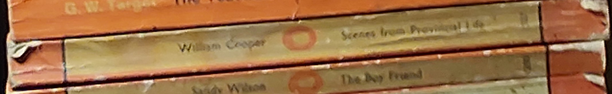 William Cooper  SCENES FROM PROVINCIAL LIFE spine of book image