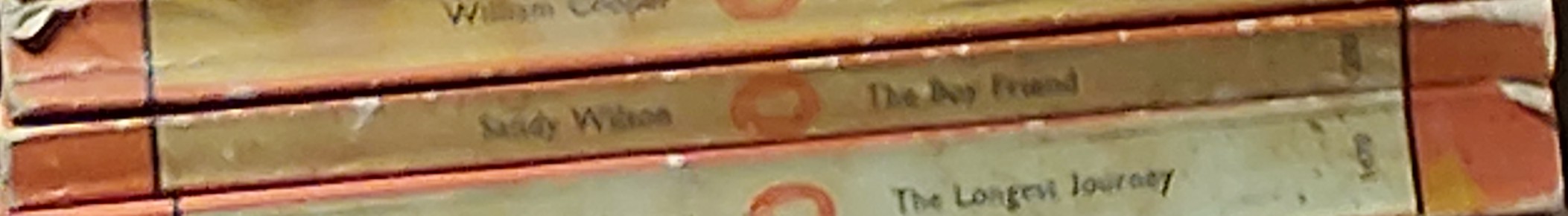 Sandy Wilson  THE BOY FRIEND spine of book image