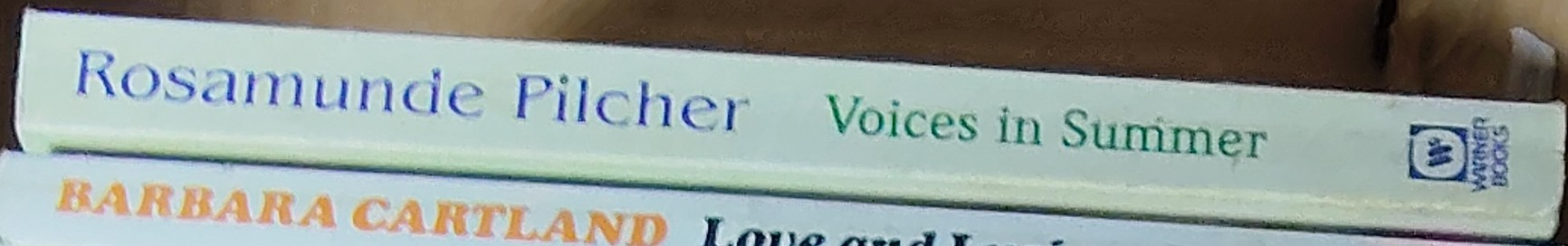 Rosamunde Pilcher  VOICES IN SUMMER spine of book image