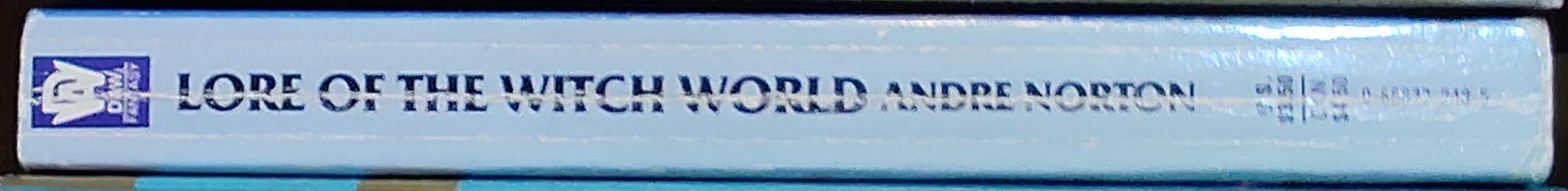 Andre Norton  LORE OF THE WITCH WORLD spine of book image