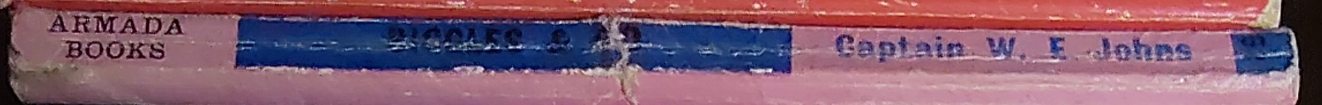 Captain W.E. Johns  BIGGLES & CO. spine of book image