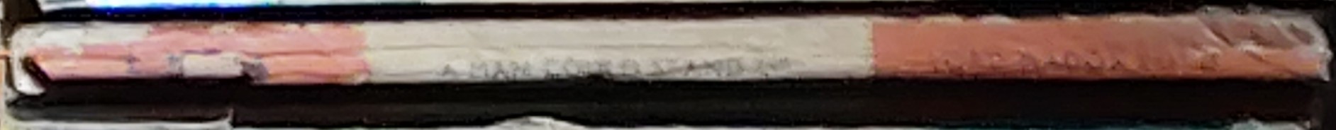 Ford Madox Ford  A MAN COULD STAND UP spine of book image