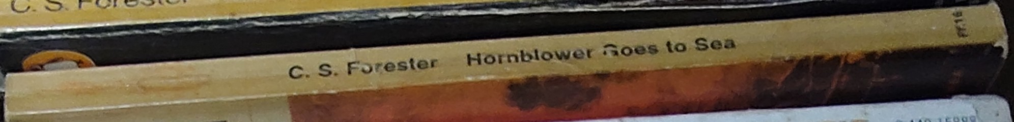 C.S. Forester  HORNBLOWER GOES TO SEA (Juvenile) spine of book image