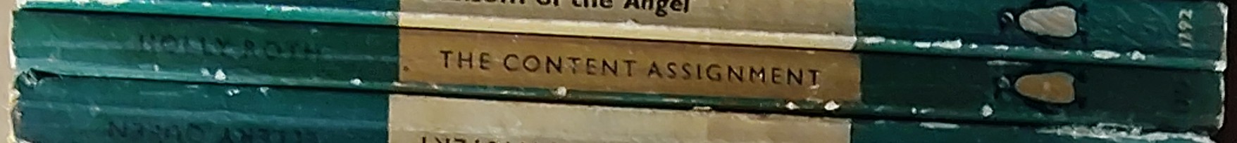 Holly Roth  THE CONTENT ASSIGNMENT spine of book image