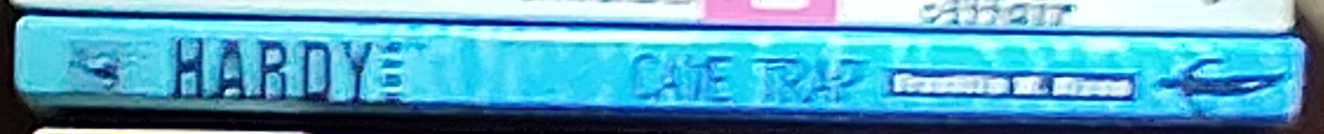 Franklin W. Dixon  THE HARDY BOYS: CAVE TRAP spine of book image