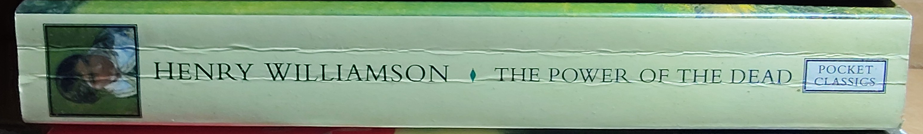 Henry Williamson  THE POWER OF THE DEAD spine of book image