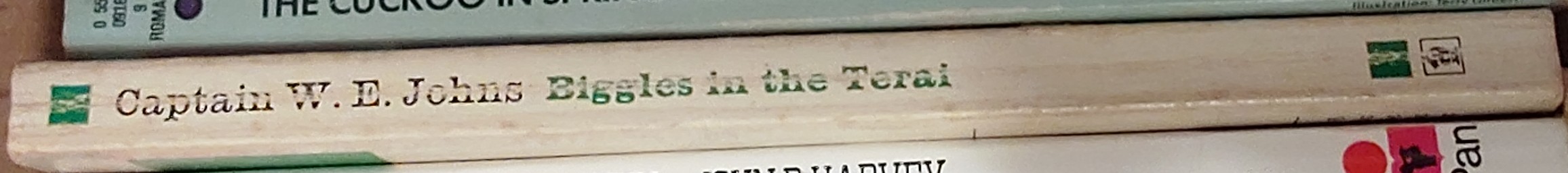 Captain W.E. Johns  BIGGLES IN THE TERAI spine of book image